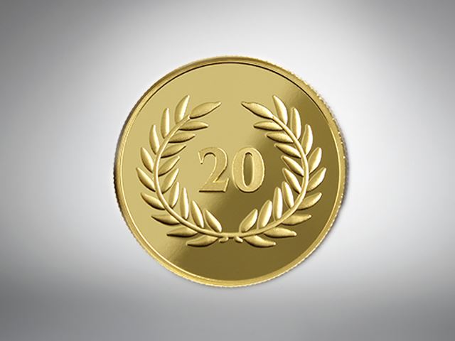 公版年資幣
